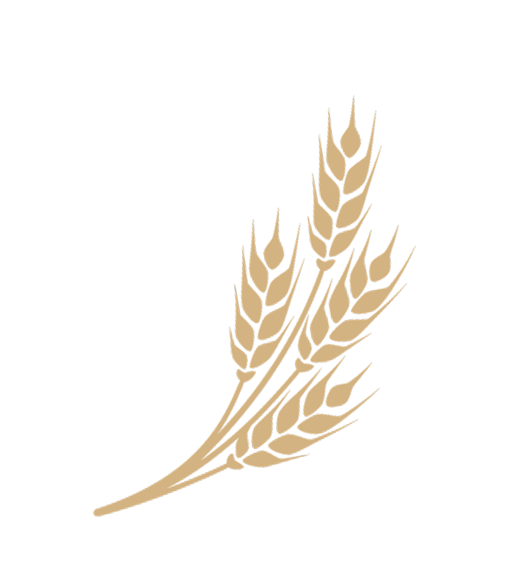 Wheat